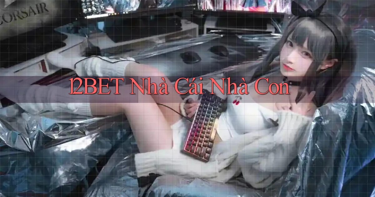 12bet  nhà cái nhà con